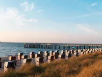 FeWo Ostsee Oldenburg Holstein Garten Und Carport