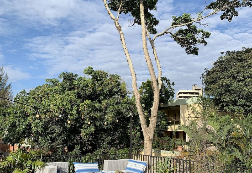 팔미라 호스텔의 루프탑 테라스