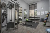 Courtyard Tacoma Downtown Hotels in Tacoma