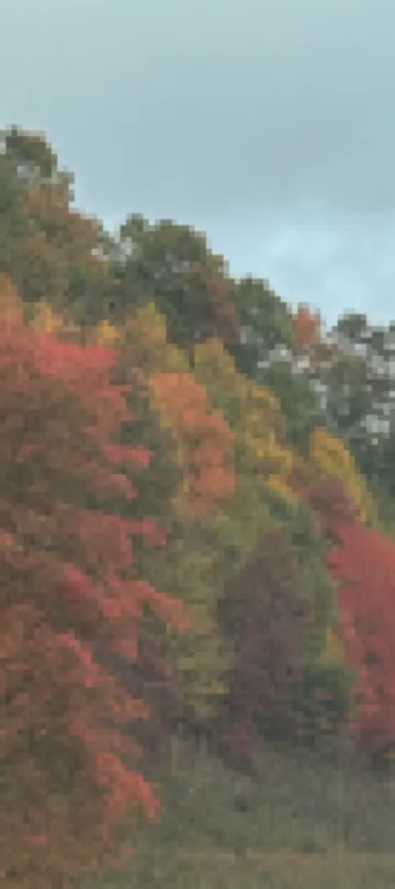 Godin's Get A Way,  Creekside cabin, Relax in Murphy, NC.  Close to everywhere!