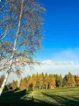 Chalet Joue du loup - 6/7 pers