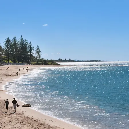 The Norfolks on Moffat Beach
