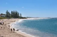 The Norfolks on Moffat Beach - pantai