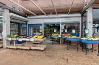 Convenient Room – Walk to Train & Shops
