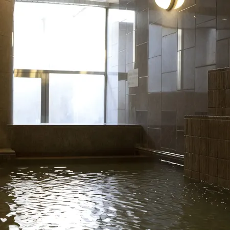HOTEL MYSTAYS Premier Sapporo Park