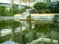 景星城市民宿 景寧住宿飯店