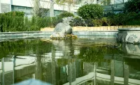 景星城市民宿