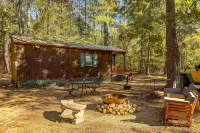 Solitude at National Forest Private Cabin at Kisatchie Vista