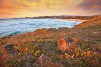 Emerald Beach Pet-Friendly Eucalyptus Cottage - Wifi