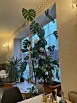 Barin Hotel - 停車場