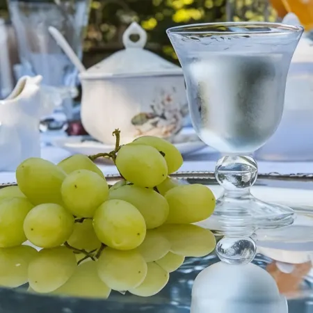 Anerada Inn Suites & Villa - Pet Friendly