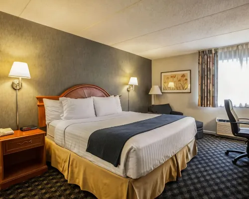 Quality Inn and Suites St Charles -West Chicago Hotels in Kane County