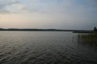The house is located right on the edge of the Müritz National Park - Homestays