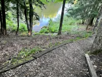 Lj's River Cottage Up North - 3-Star