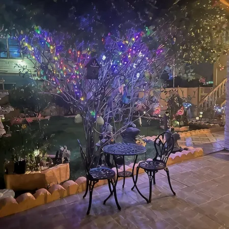 Beautiful 3 bedroom modern home