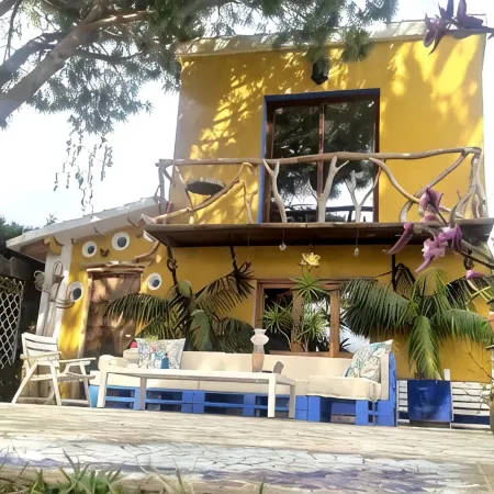 Comfortable apartment and swimming pool in the shade of the pine forest of Chipiona