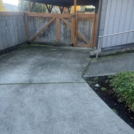 Brand new! Lots of light! Private unit separate driveway and entrance.