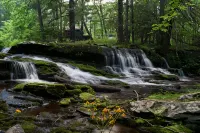 Remote Waterfall Cabin at Swiftwater Acres