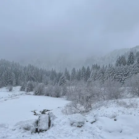 Appartement - Au Cœur du Lac Blanc