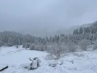 Appartement - Au Cœur du Lac Blanc