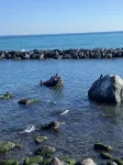 Terrazza al mare