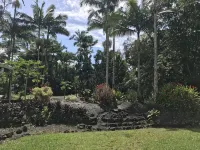 Spacious home in a lush green piece of paradise - Homestays