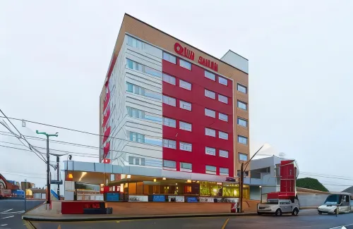 Ibis Teresina