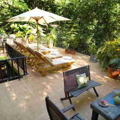 Roof Top Deck with Huge Views, 3 Pools, Chef Included, Game Room, Monkeys Hotel Exterior