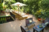 Roof Top Deck with Huge Views, 3 Pools, Chef Included, Game Room, Monkeys