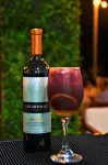 Altea Hotel - San Bartolo - Bãi biển