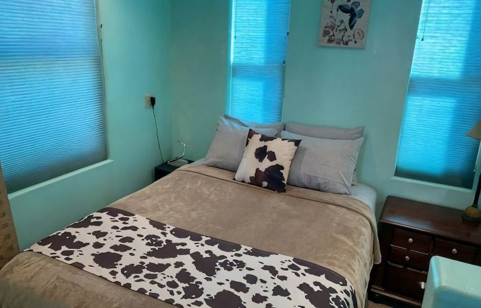 Wild West Rockies! PET FRIENDLY!2 Fenced-in yards!JACUZZI HOT TUB!