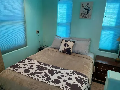 Wild West Rockies! PET FRIENDLY!2 Fenced-in yards!JACUZZI HOT TUB!