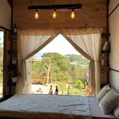 Romantic House on a Pine Hill Dalat Rooms