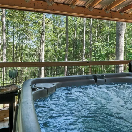 Shine On near Red River Gorge!