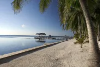Luxury 250' long Beachfront-Pool,Horse Fountain, Snorkeling, Volleyball & Chef! - Villas