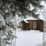 Русский Лес - С баром