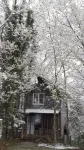 RockinC 120英畝農場內參天林木間小屋 - 小木屋