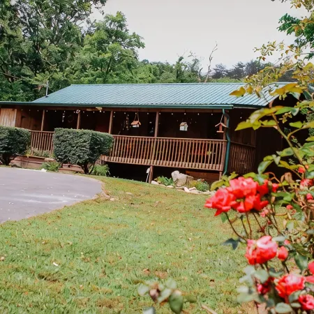 "Our Life" Creekside, Trout Fishing, Fire Pit, Hot Tub, WiFi and More...