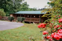 "Our Life" Creekside, Trout Fishing, Fire Pit, Hot Tub, WiFi and More... - Chalets