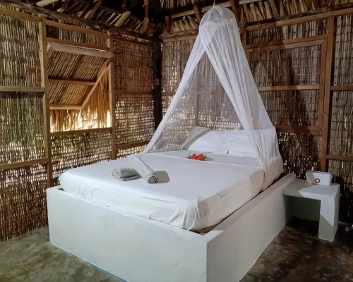 Eco Hotel Las Palmeras Hotels in Cartagena