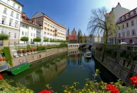 Viva Rooms - Homestays