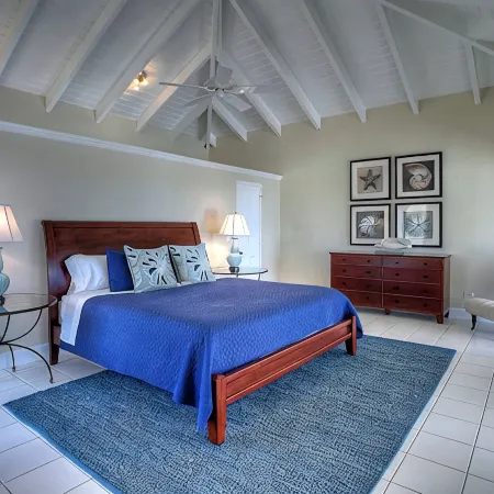 Exquisite house overlooking Caribbean ocean, 7.7 gated acres.
