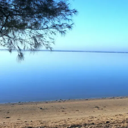 Muri Shores