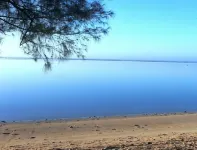Muri Shores - Villas