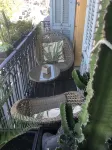 Contemporary 1-bedroom apartment with balcony, air conditioning, 50m from beach - 홈스테이