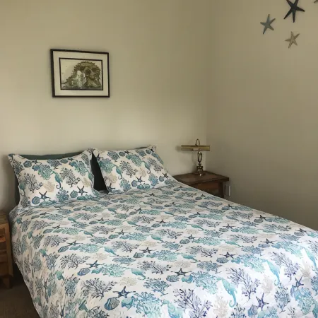 THE SEA SHANTY - A HOMER SEASIDE COTTAGE