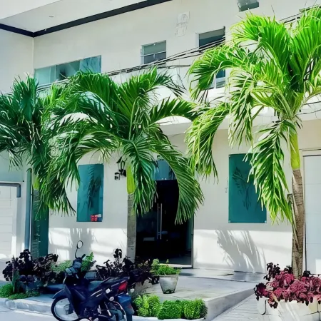 Hotel Fenix