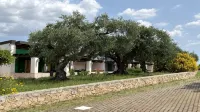 Apulia Victor Country Hotel - piscina