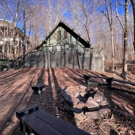 4 min Beech Mtn. Gem: Cabin Retreat near Slopes & Trails Pet friendly