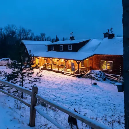 Dog Friendly Log Cabin + Wood Stove + Sauna + High Speed WiFi! 25 Min to Stowe!